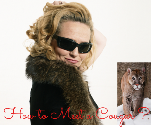 How to Meet a Cougar- When the Hunter Becomes the Hunted!!